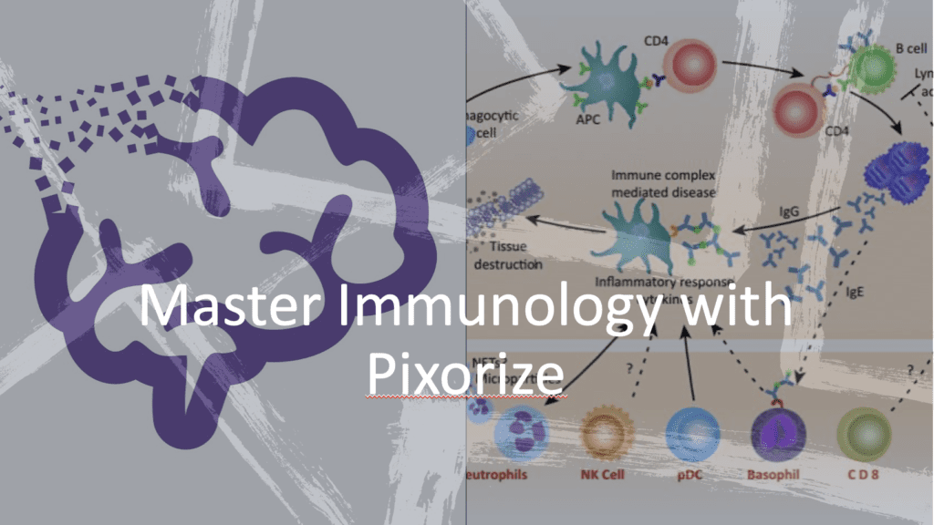 pixorize immunology