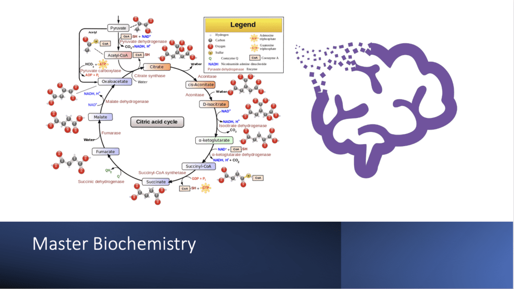 Pixorize biochemistry